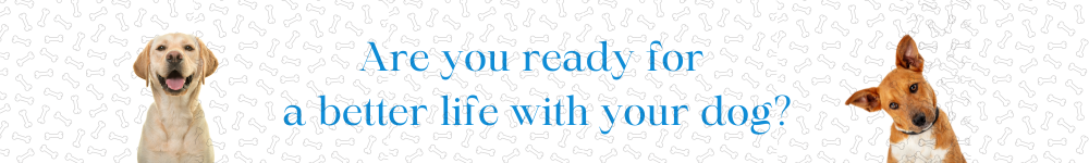 Are you ready for a better life with your dog (2)