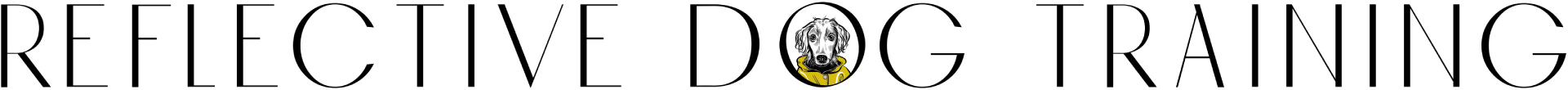 Reflective Dog Training